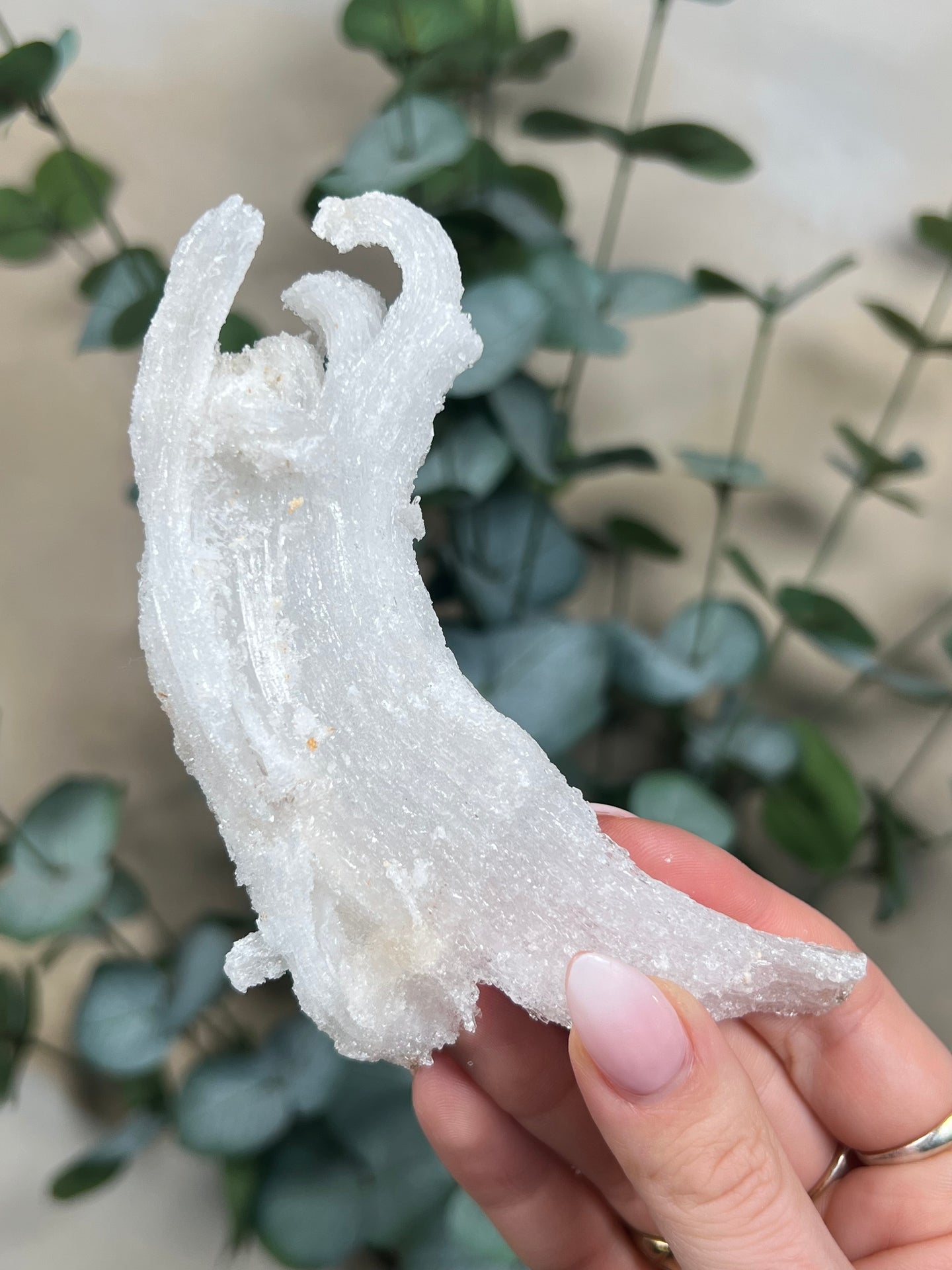 Horn Selenite (119EA)